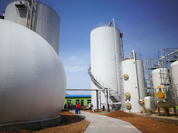 biogas engineering